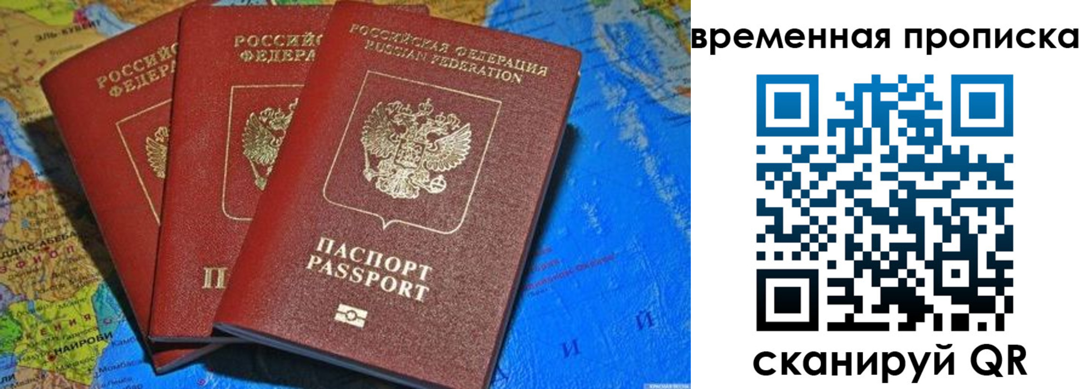 прописка в квартире в Благовещенске